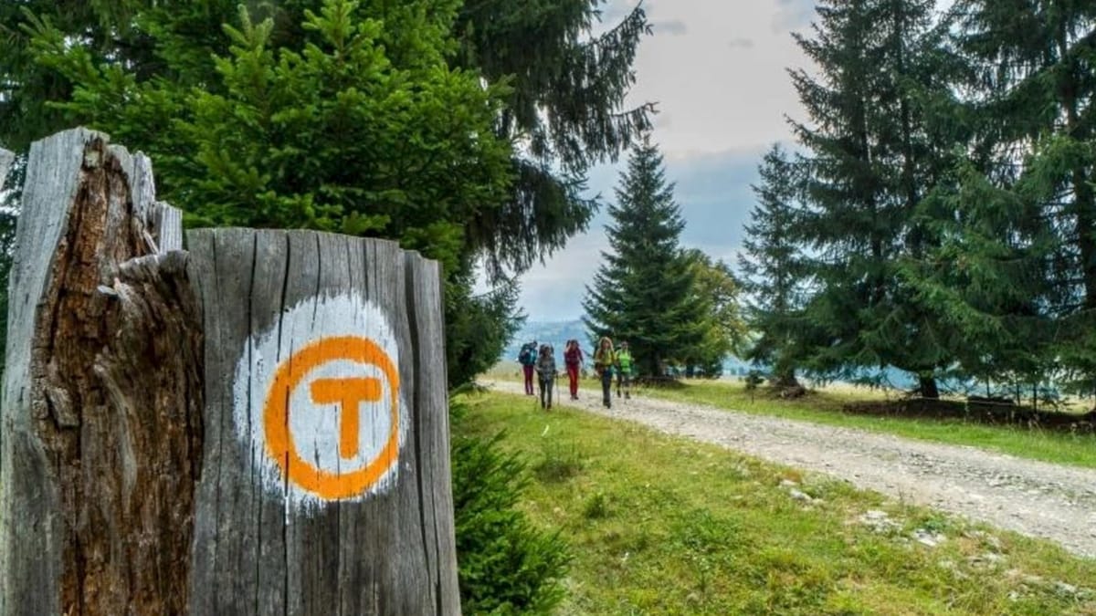 Via Transilvanica: Fosta cale ferată cu cremalieră Porțile de Fier ale Transilvaniei, pe traseul Caransebeș - Subcetate, a fost transformată în potecă turistică