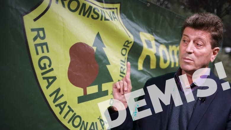 Șoc în sistemul silvic: Trei directori demiși, Romsilva trimite controlul. Ion Tabugan evadează prin concediu medical, evitând demiterea?