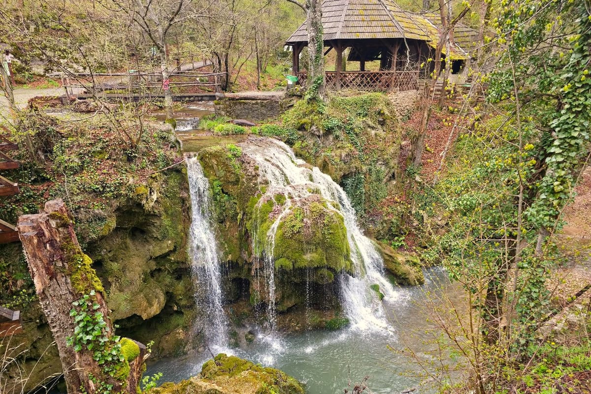 CASCADA BIGĂR: Pasarela suspendată prinde contur în inima Parcului Cheile Nerei – Un nou capitol pentru turismul sustenabil
