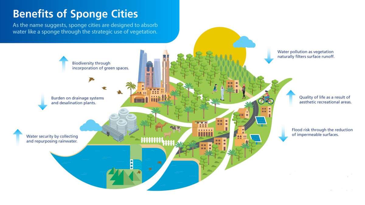 Ștefana Bădescu, Primăria Reșița: Sponge City, M100 și drumul către orașul sustenabil