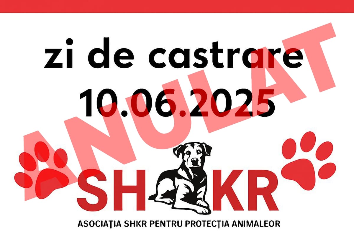 Un paradox îngrijorător: Campania de sterilizare GRATUITĂ, anulată din cauza lipsei de interes