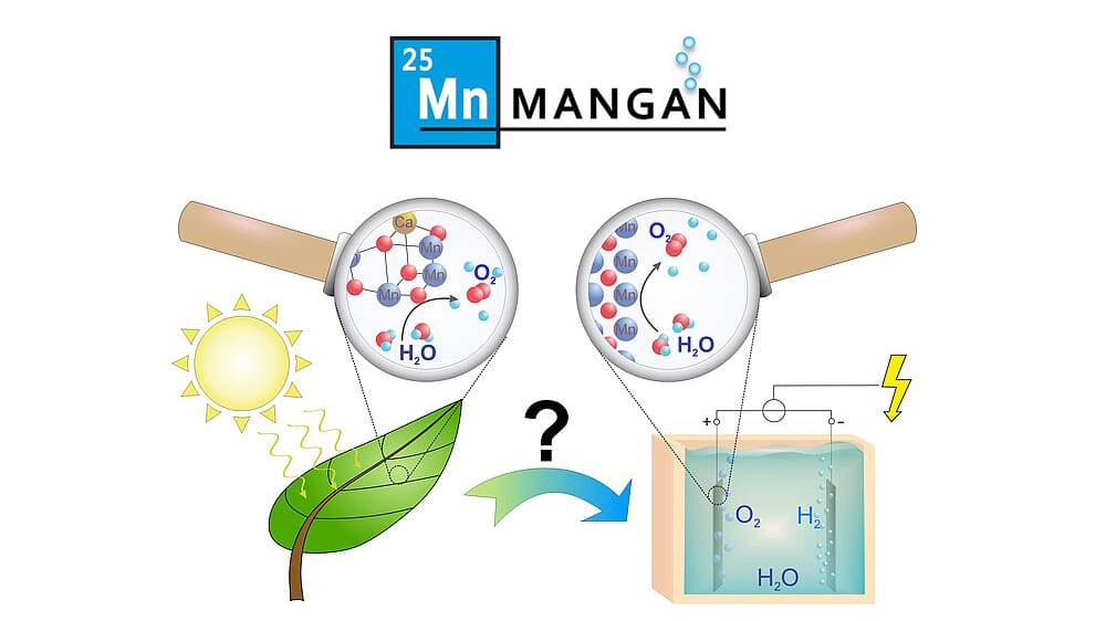 Revoluția electrolizei: Japonezii înlocuiesc metalele rare cu mangan modificat, metal ieftin care mărește producția de hidrogen verde cu 1000%