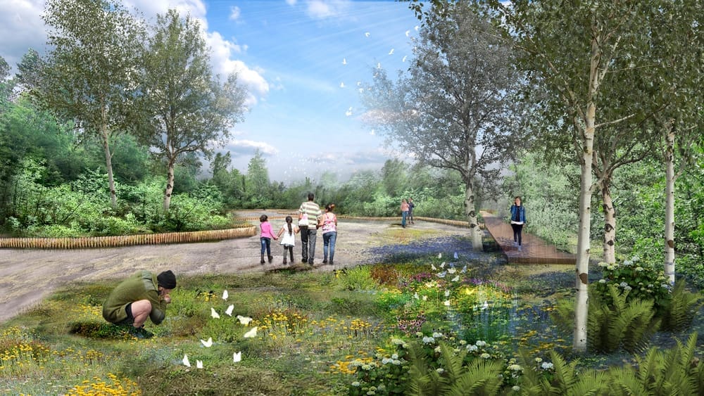 Reșița lansează licitația pentru amenajarea Parcului Pădure în zona Triaj