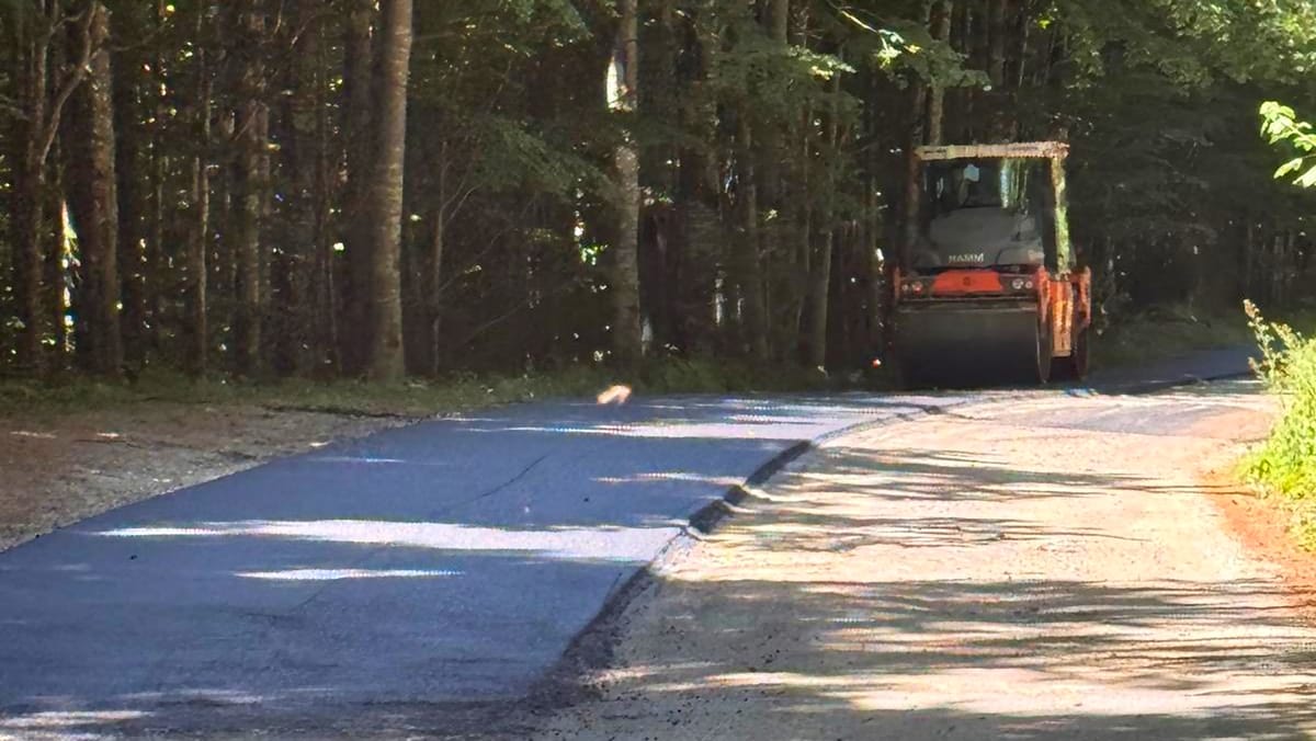 Modernizarea drumului spre Semenic: Primarul Reșiței apreciază eforturile Consiliului Județean