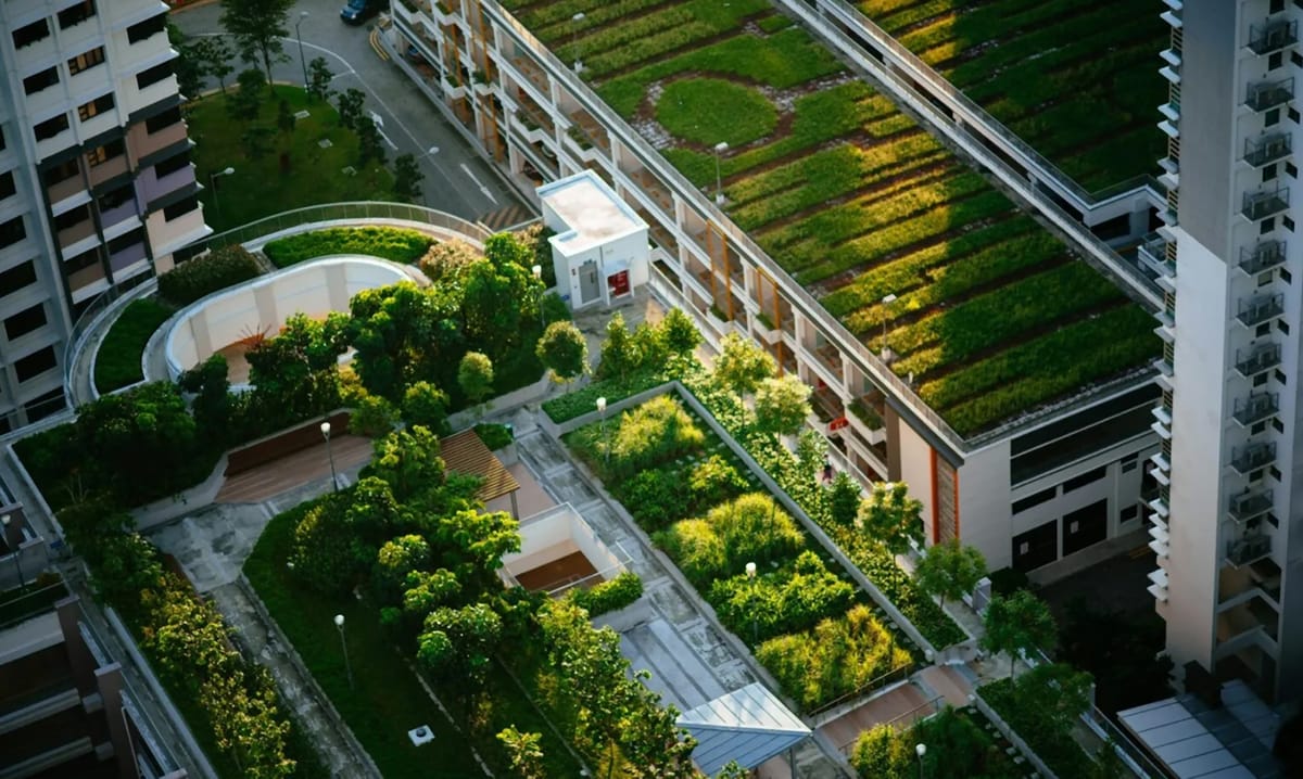 Japonia recreează biodiversitatea în oaze urbane: Parcări transformate în coridoare verzi suspendate