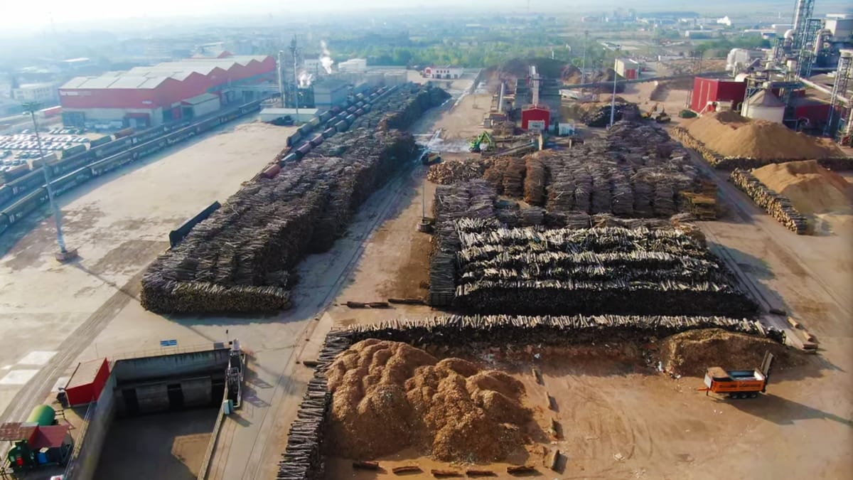 Scandal transfrontalier: Gigantul austriac Kronospan și fostul Schweighofer, anchetați pentru lemn din parcuri naționale și poluare în România