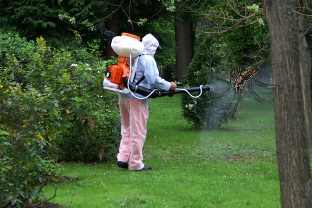 Campanie intensivă de dezinsecție în Reșița: Lupta împotriva țânțarilor continuă între 25 și 29 august cu tratamente pe timp de noapte