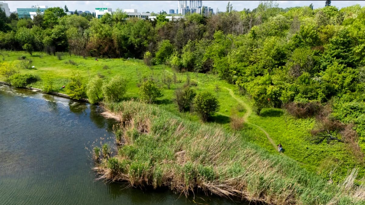 Un sanctuar natural în București: Sectorul 2 inaugurează prima arie naturală protejată de interes local, Pajiștea Petricani