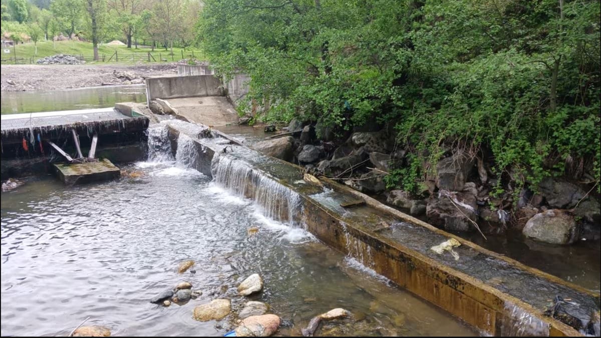 Râurile pe moarte: Afacerea microhidrocentralelor distruge patrimoniul natural al României