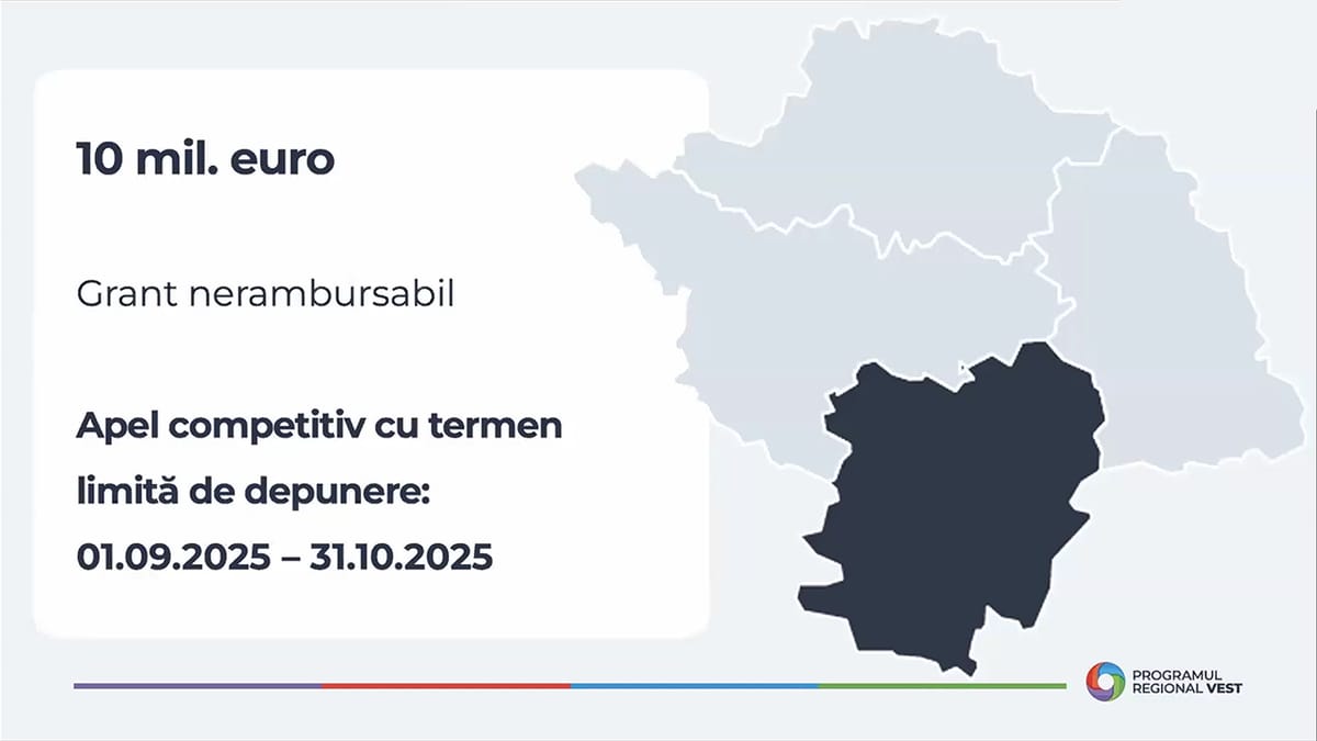 Fonduri nerambursabile pentru întreprinderile noi din Caraș-Severin: Ghid complet pentru obținerea a până la 100.000 de euro