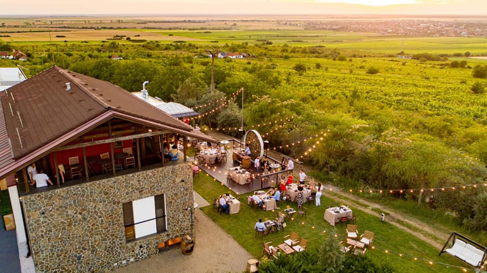 Banatul, ținutul viței-de-vie: Descoperă traseul celor șase crame legendare