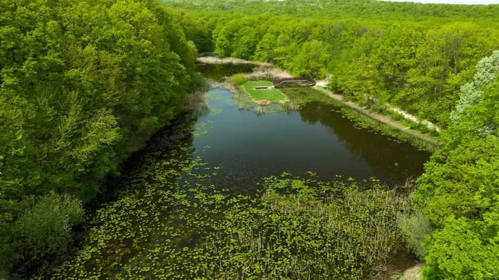 Lacul Mihai Eminescu, Ipotesti, jud. Botoșani © Foto: Burlacu Lush