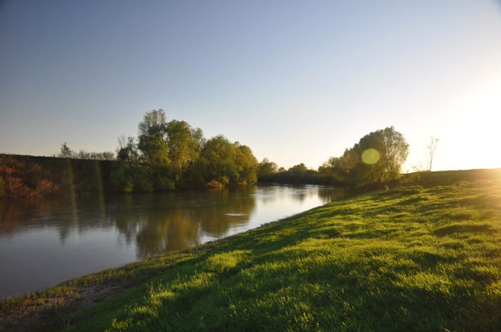 Timișoara, premiera unui proiect european inovator: Zone umede extinse pe terenuri private pentru combaterea schimbărilor climatice