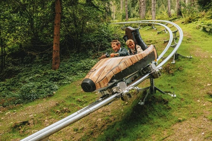 Bob de vară, St. Martin Am Tennengebirge - Austria