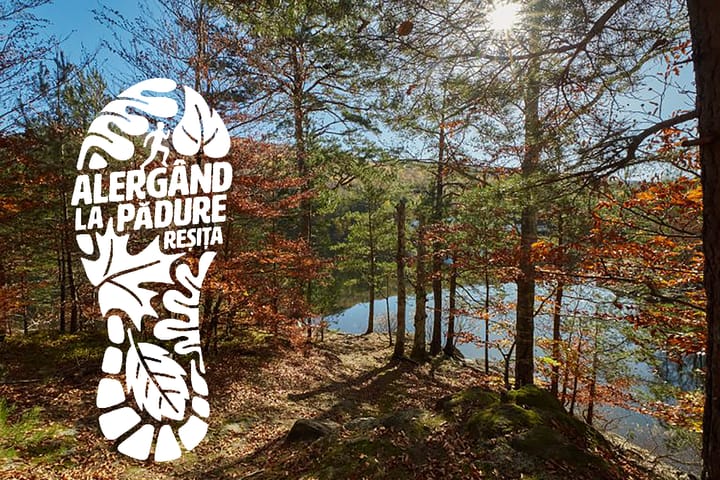 Pași pentru comunitate la Reșița: AlerGând la Pădure deschide apelul pentru proiecte locale în Caraș-Severin