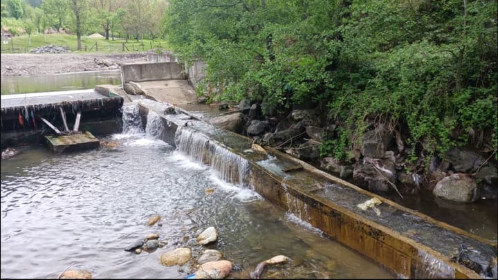 Barajul microhidrocentralei de la Cornereva distruge cursul apei și blochează fauna acvatică Imagine: Cristian Ștefănescu/DW