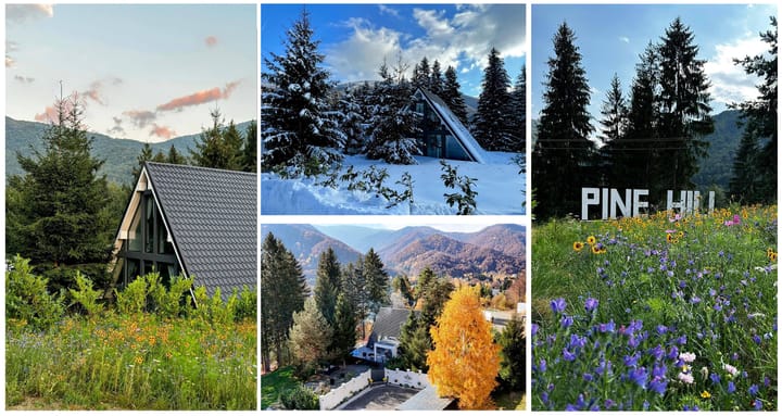 Pine Hill – liniștea din inima munților, născută din visul unei familii care a crezut în echilibru și frumusețe